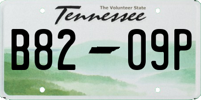 TN license plate B8209P