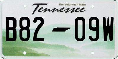 TN license plate B8209W