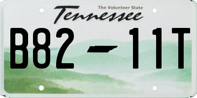 TN license plate B8211T