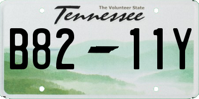 TN license plate B8211Y