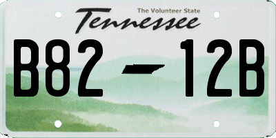 TN license plate B8212B
