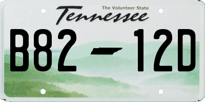 TN license plate B8212D