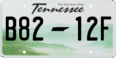 TN license plate B8212F