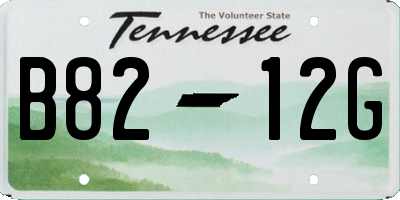 TN license plate B8212G