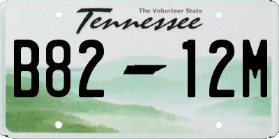 TN license plate B8212M