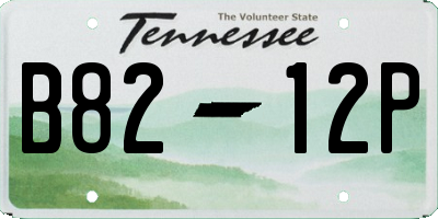 TN license plate B8212P