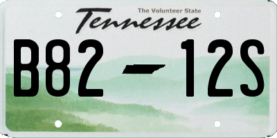 TN license plate B8212S