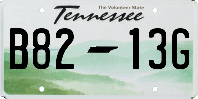 TN license plate B8213G