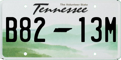 TN license plate B8213M