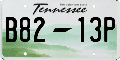 TN license plate B8213P
