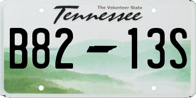 TN license plate B8213S