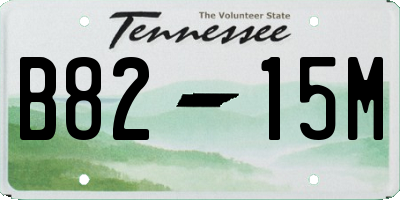 TN license plate B8215M