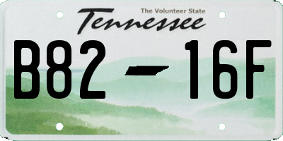 TN license plate B8216F