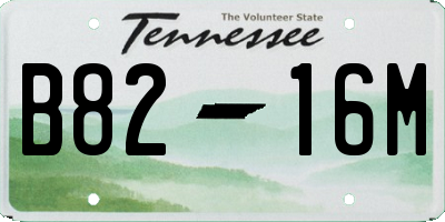 TN license plate B8216M
