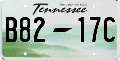 TN license plate B8217C