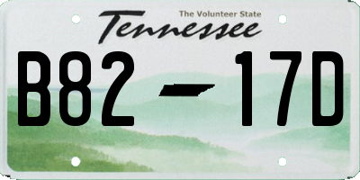 TN license plate B8217D