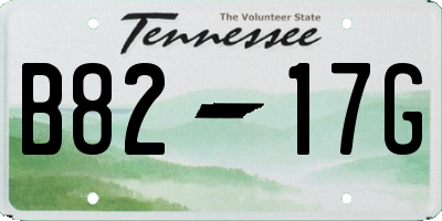 TN license plate B8217G
