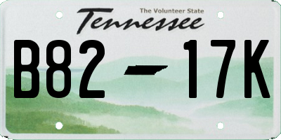 TN license plate B8217K