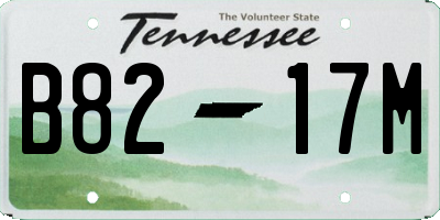 TN license plate B8217M