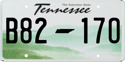 TN license plate B8217O