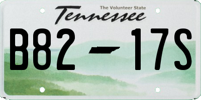 TN license plate B8217S
