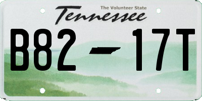 TN license plate B8217T
