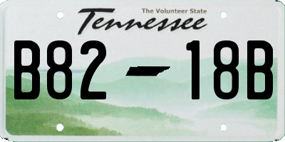 TN license plate B8218B