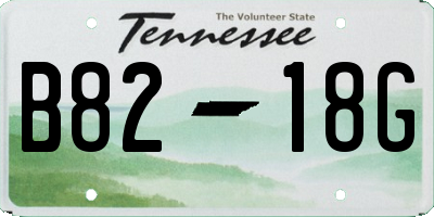 TN license plate B8218G