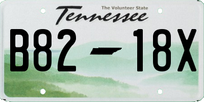 TN license plate B8218X