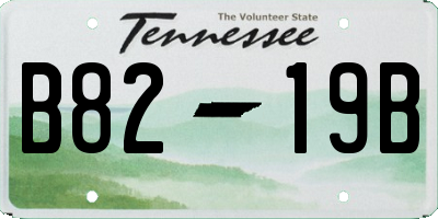 TN license plate B8219B