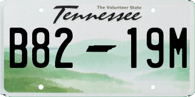TN license plate B8219M