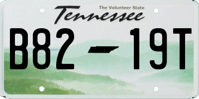 TN license plate B8219T
