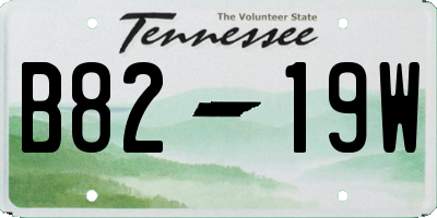 TN license plate B8219W