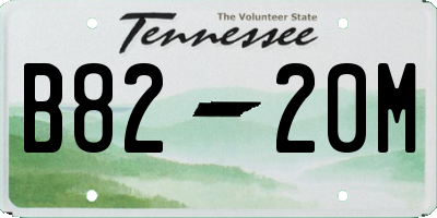 TN license plate B8220M