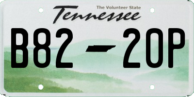 TN license plate B8220P