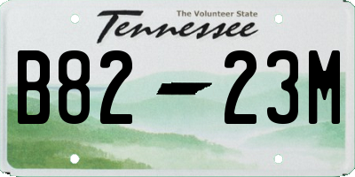 TN license plate B8223M