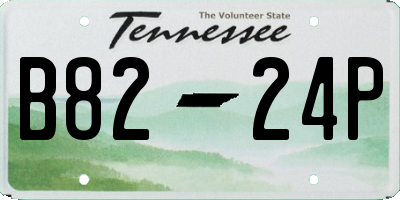 TN license plate B8224P