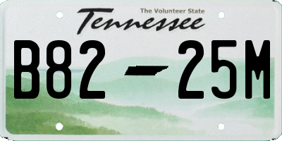 TN license plate B8225M