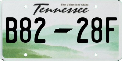 TN license plate B8228F