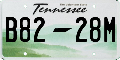 TN license plate B8228M
