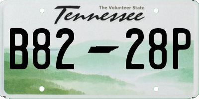 TN license plate B8228P