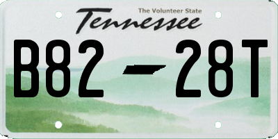 TN license plate B8228T