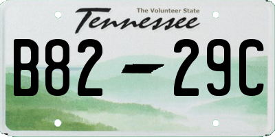 TN license plate B8229C