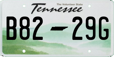TN license plate B8229G