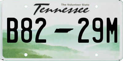 TN license plate B8229M