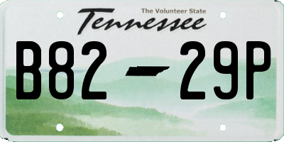 TN license plate B8229P