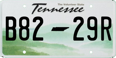 TN license plate B8229R
