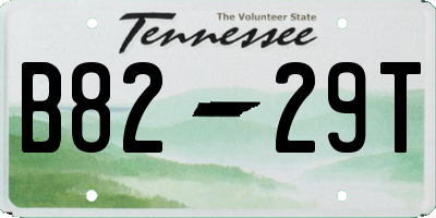 TN license plate B8229T