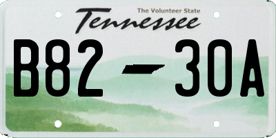 TN license plate B8230A