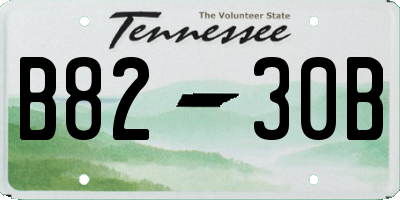 TN license plate B8230B